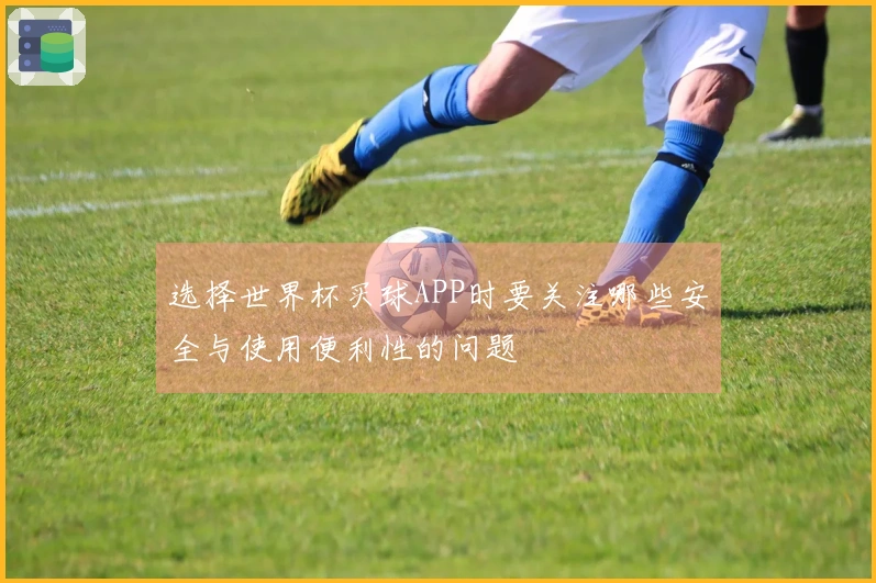 选择世界杯买球APP时要关注哪些安全与使用便利性的问题