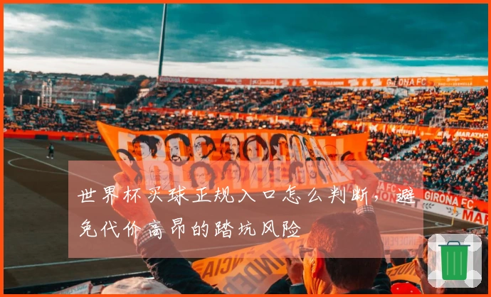 世界杯买球正规入口怎么判断，避免代价高昂的踏坑风险