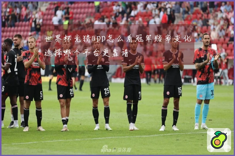 世界杯竞猜app怎么看冠军赔率变化选择哪个平台更靠谱