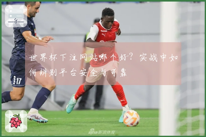 世界杯下注网站哪个好？实战中如何辨别平台安全与可靠