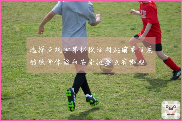 选择正规世界杯投注网站前要注意的软件体验和安全性要点有哪些