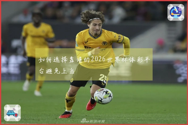 如何选择靠谱的2026世界杯体彩平台避免上当