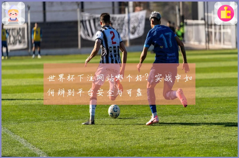 世界杯下注网站哪个好？实战中如何辨别平台安全与可靠